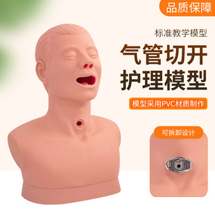 成人气管切开护理模型气管切开护理痰液抽吸口腔吸引术练习模拟气