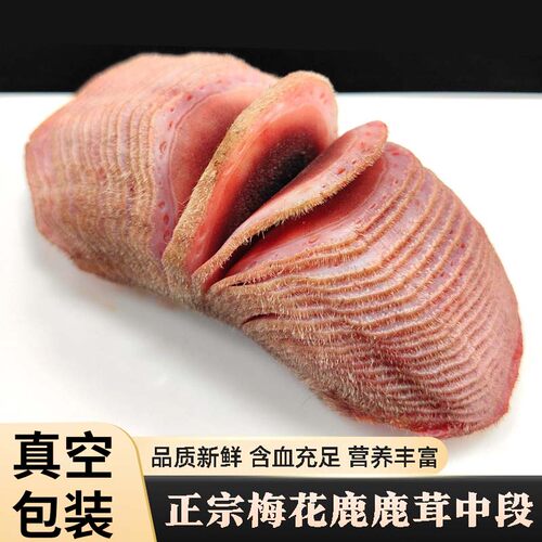 瑞琪奥兰东北梅花鹿茸新鲜整根整枝头茬二杠整只蜡片泡酒煲汤正品