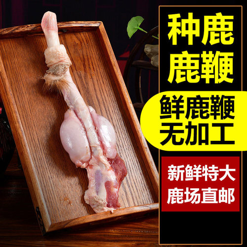 瑞琪奥兰新鲜鹿鞭梅花鹿长白山鹿场直发正品正宗种鹿泡酒男用