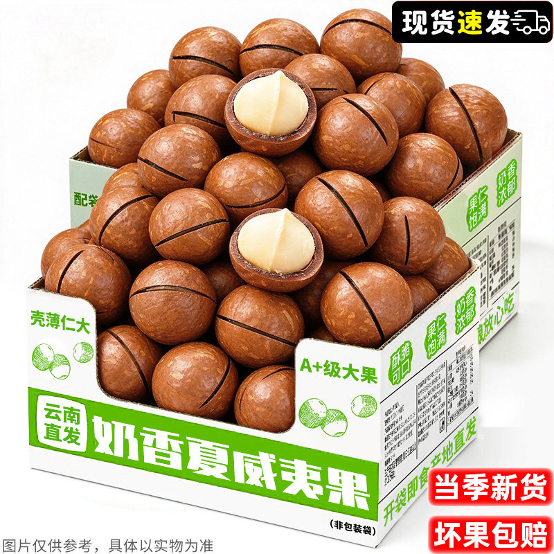 奶香浓郁!26+特大果!夏威夷果
