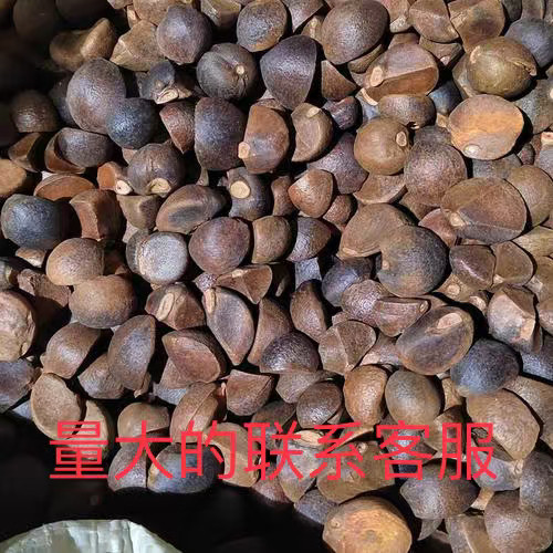 25年野生油茶籽新果实油茶籽仁自榨茶树籽仁剥山茶籽榨油茶籽,水产肉类/新鲜蔬果/熟食,其它,淘宝优惠券,粉丝福利购,淘宝优惠卷