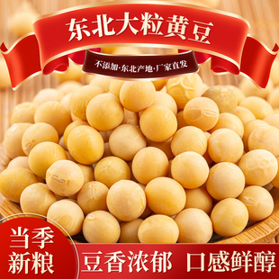 2025新货东北大粒黄豆新豆吉林农家自种直销炸豆浆打豆浆大豆真空
