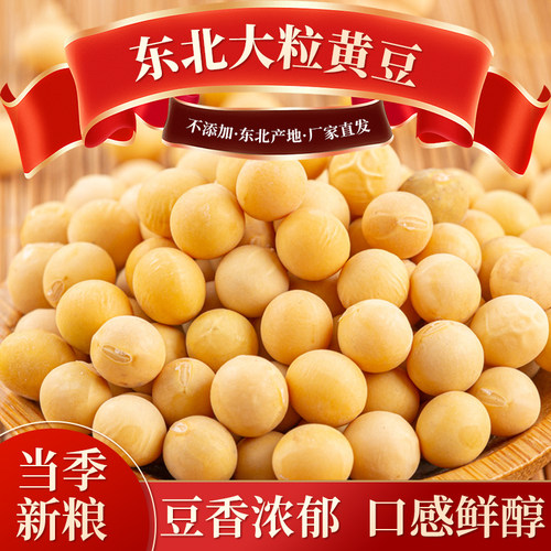 大粒黄豆2025东北新货