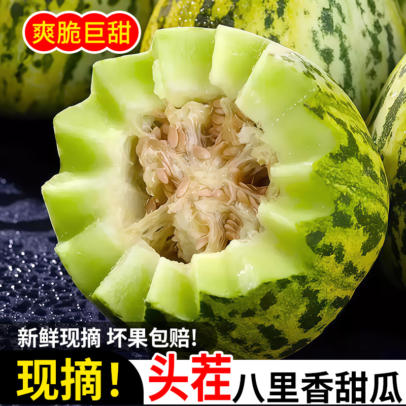 当天新鲜现摘东北香瓜吉林农家香脆甜坏瓜包赔大地八里香陆地甜瓜