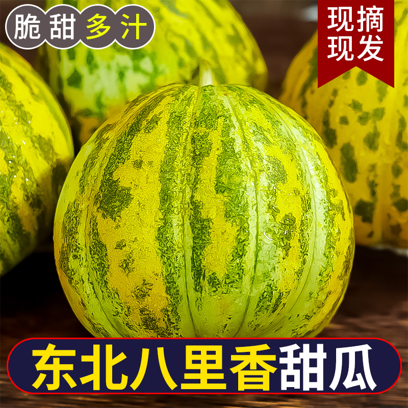 东北香瓜新鲜现摘陆地甜瓜八里香