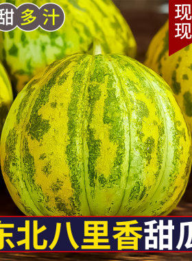 东北香瓜新鲜现摘陆地甜瓜八里香