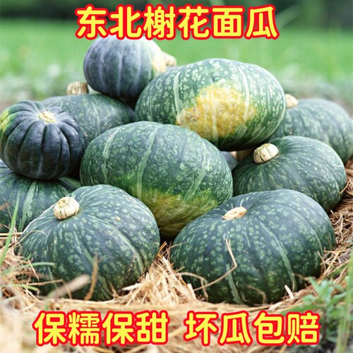 谢花面老南瓜东北面瓜甜糯非贝贝
