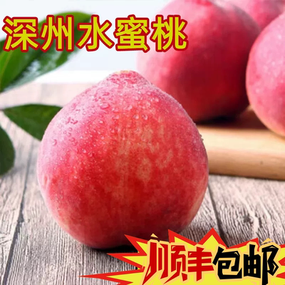 顺丰深州特产发货水蜜桃送礼新鲜精选原产直发可剥皮包邮脆甜礼盒