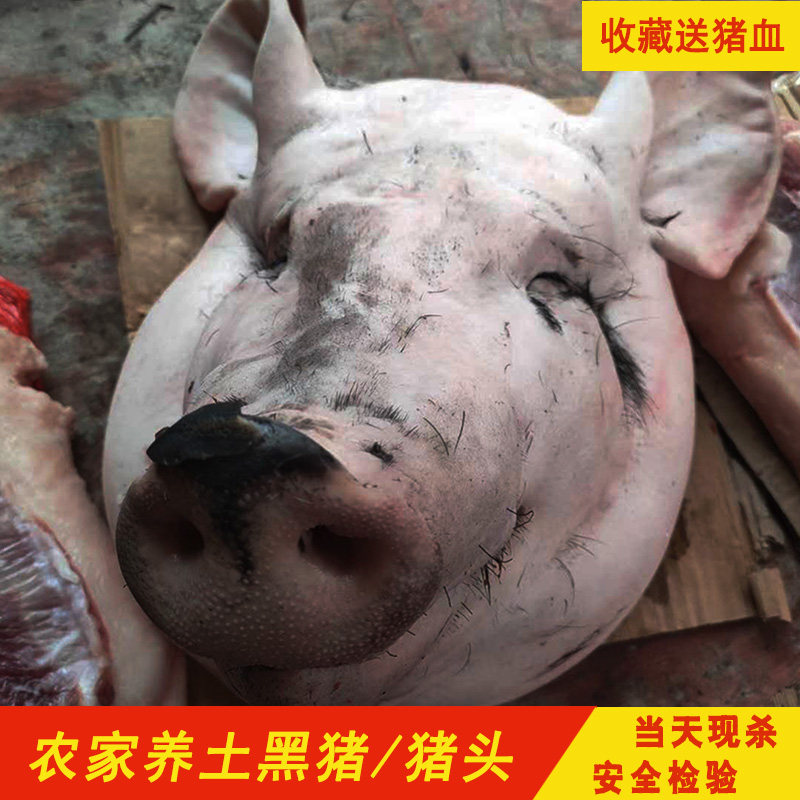 农家散养土黑猪肉猪副生鲜猪头肉生猪脑卤猪头皮原料猪头骨肉15斤