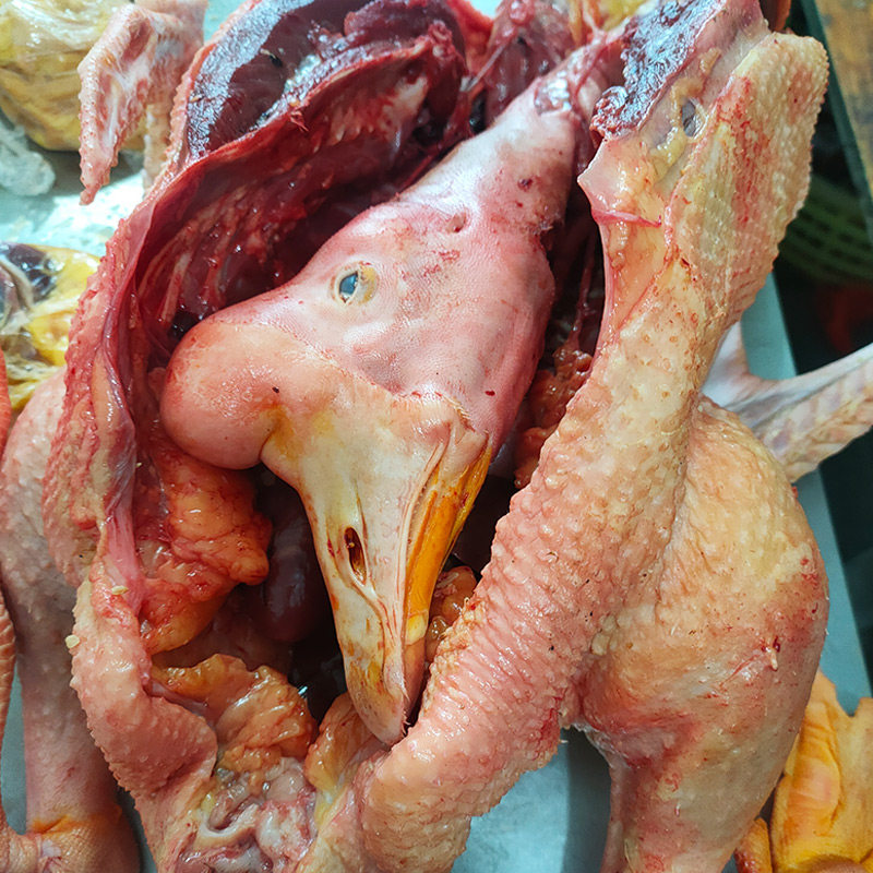 老鹅整只新鲜现杀大鹅肉6斤散养鹅肉/鹅肉制品