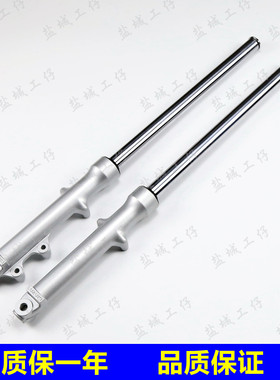 适用骏威GSX125 QS125-3A/3B/3C/3E3F3G/3K/3H3L前减震器前叉避震