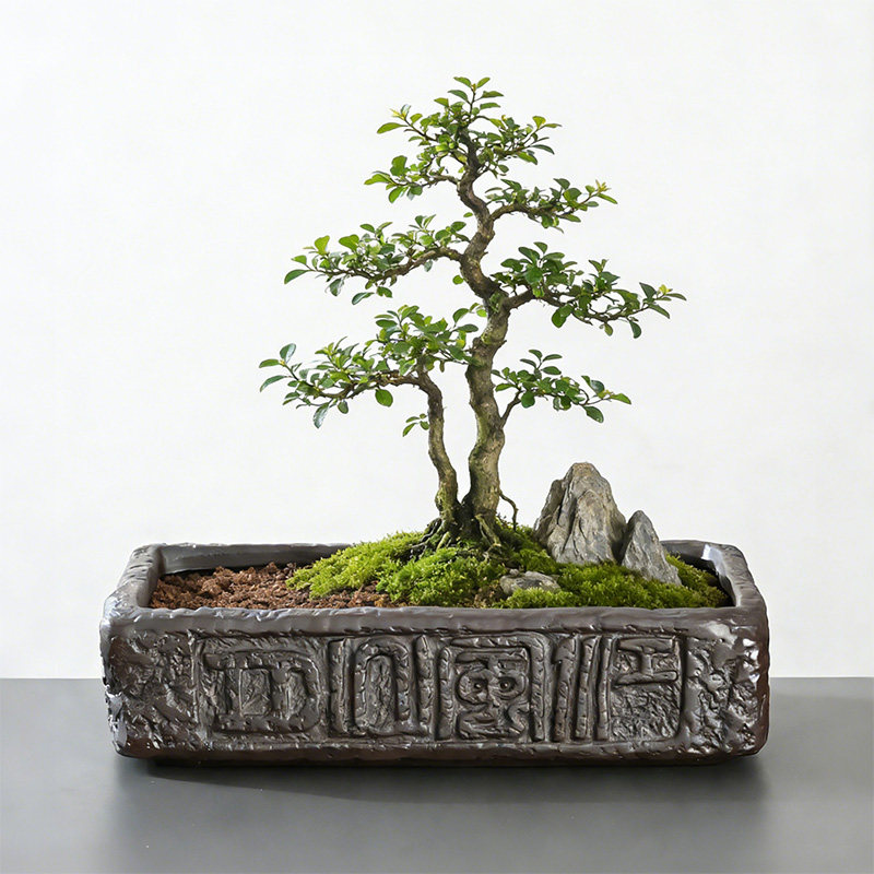 复古褐纹方盘紫砂花盆 仿汉砖纹理 多肉组合盆景桌面大口径花器