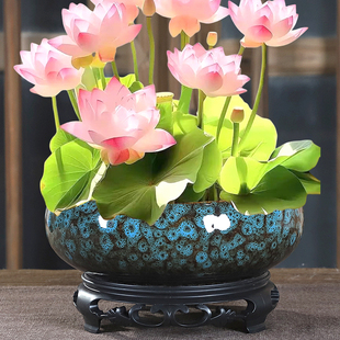 铜钱草水培花盆水仙无孔花睡莲碗莲一叶莲水养专用桌面陶瓷水缸