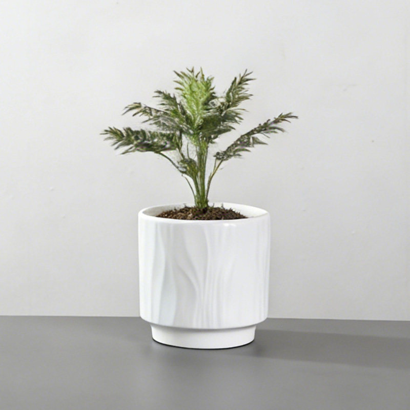 纯白波浪纹陶瓷花盆现代简约ins风桌面绿植多肉种植盆器,鲜花速递/花卉仿真/绿植园艺,花盆,淘宝优惠券,粉丝福利购,淘宝优惠卷