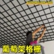 吊顶格栅材料铁铝网格天花板葡萄架自装 集成吊顶塑料棚顶黑白方格