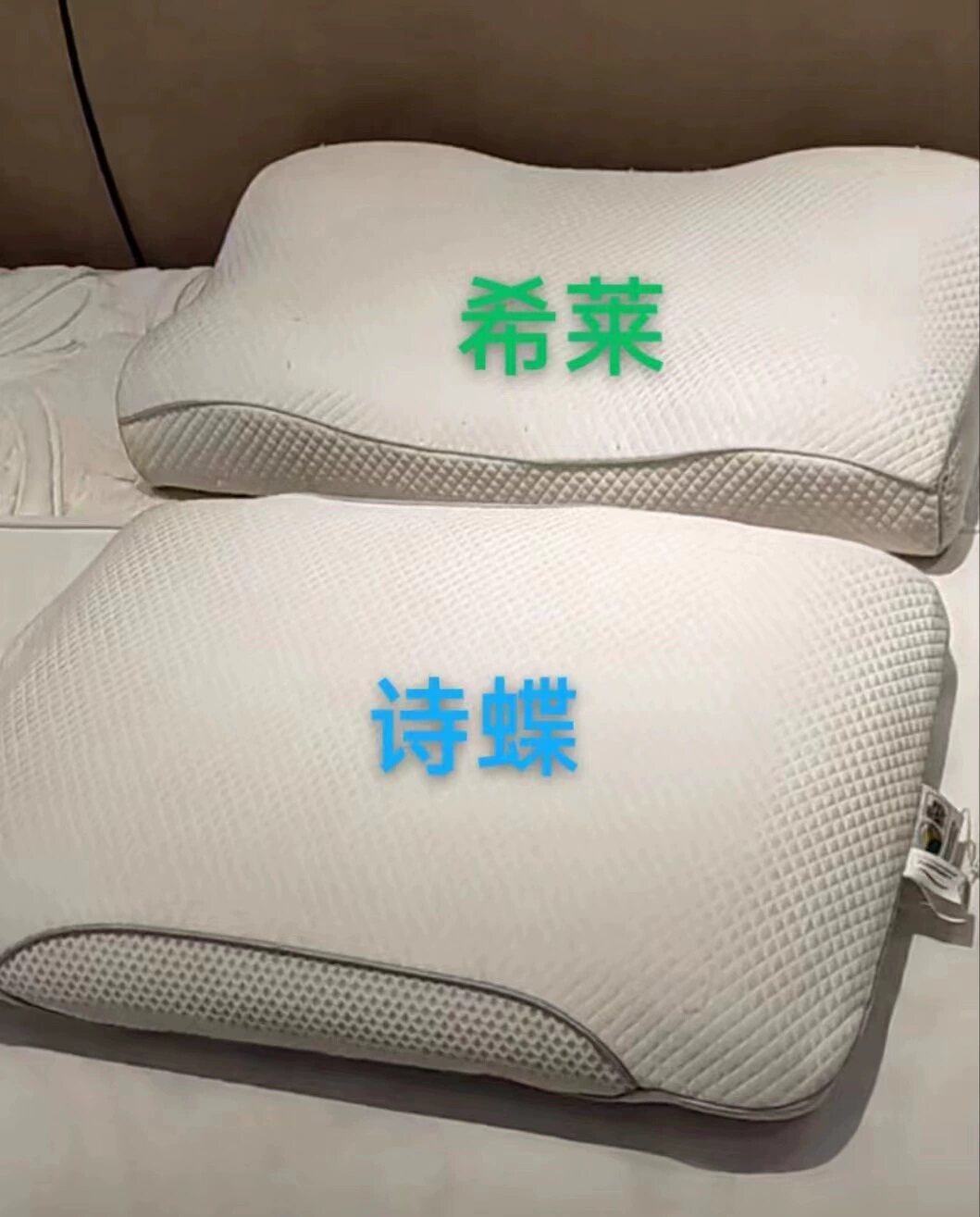 kingkol乳胶枕 希莱枕 诗蝶枕 儿童贝颂枕弓形乳胶枕床笠