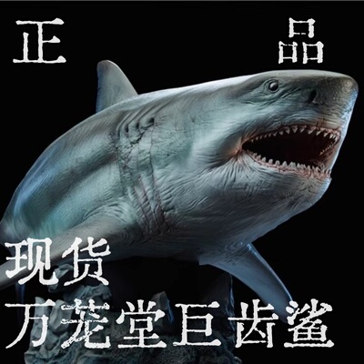 模玩集丨现货万茏堂巨齿鲨鬼颚 PVC手办雕像鲨鱼仿真模型玩具雕像