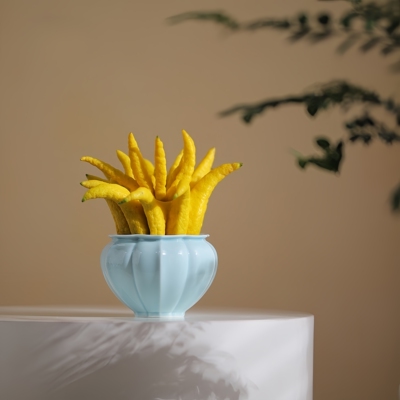 好清洗可多用青木陶瓷新中式