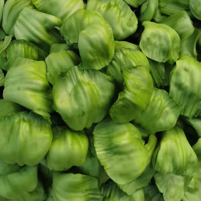 四川新鲜奶奶菜重庆农家泡菜素材邦邦菜4斤5斤包邮青菜片芥菜梗,水产肉类/新鲜蔬果/熟食,其它,淘宝优惠券,粉丝福利购,淘宝优惠卷