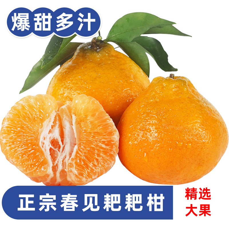 四川春见耙耙柑新鲜时令水果橘子当季鲜甜粑粑柑孕妇水果,水产肉类/新鲜蔬果/熟食,桔子,淘宝优惠券,粉丝福利购,淘宝优惠卷
