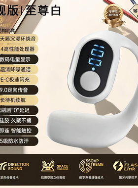 运动骑手无线蓝牙耳机新款通话挂耳式长续航0WS司机开车商务通用