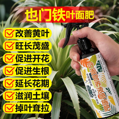 也门铁巴西铁专用营养液家金心青叶金边盆栽绿植物通用缓释花肥料