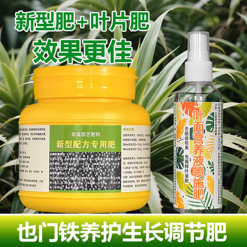 也门铁巴西铁专用营养液金心青叶金边花盆栽绿植物专用土叶面肥料