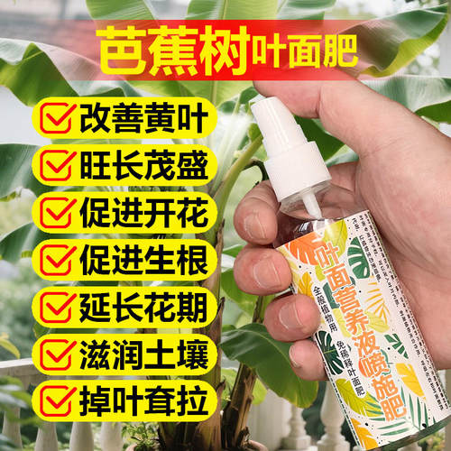 芭蕉专用肥料盆栽绿植芭蕉树苗营养液叶黄焦黑斑干桔萎下垂化肥料