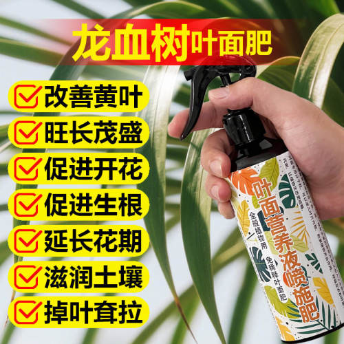 龙血树专用肥料绿植盆栽树苗土壤复合营养液叶面肥缓释肥有机肥料