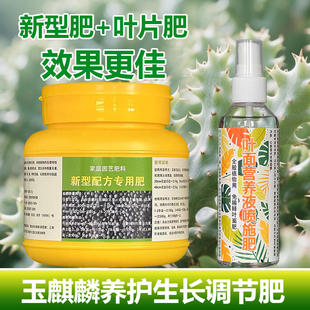 玉麒麟专用肥料盆栽营养液多肉植物仙人掌增肥粗茎使生根盆景肥料