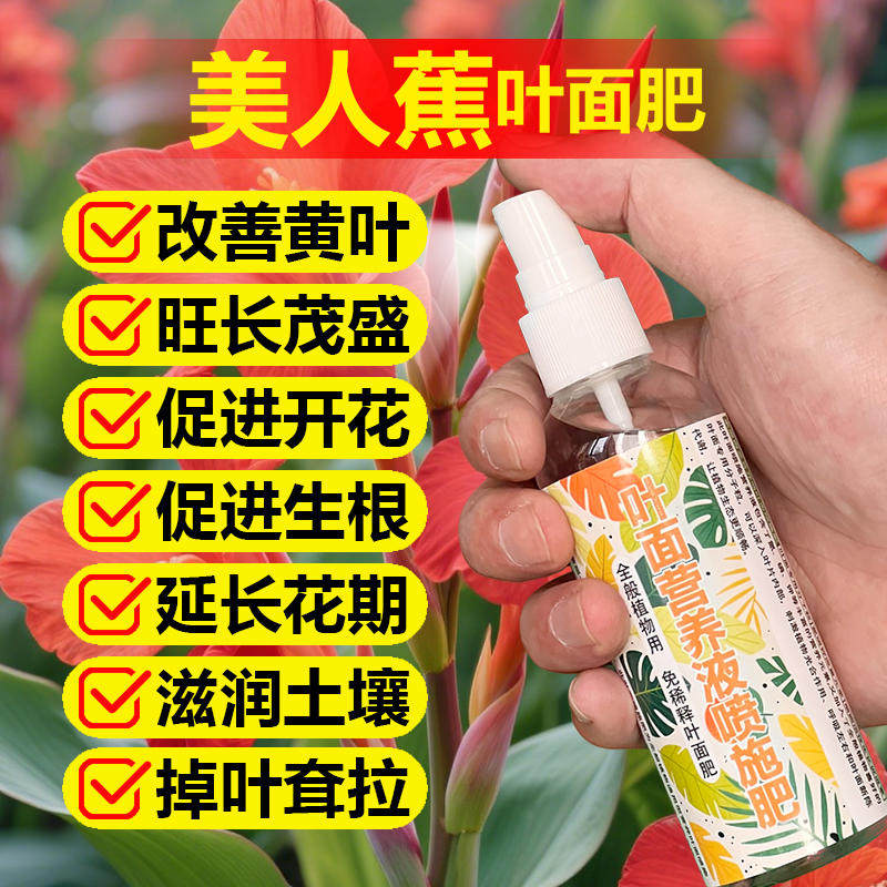 美人蕉专用肥料盆栽绿植花卉水培营养液钻芽生长叶长根肥开花肥料