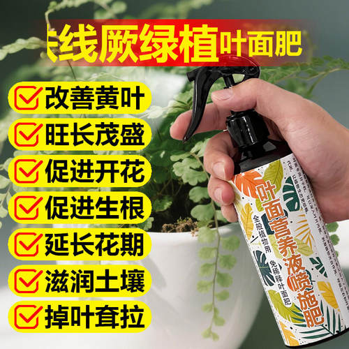 铁线厥绿植专用肥料水溶化肥盆栽植物水培土培养殖营养液小苗肥料