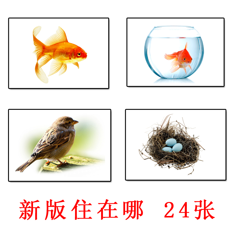 动物住在哪里认知康复