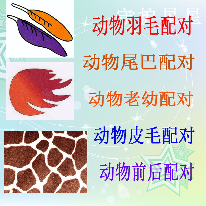 动物 尾巴羽毛老幼前后皮毛 配对aba教学认知卡 训练康复学习教具