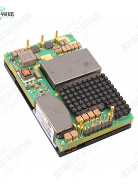 DSQ0150V2NBSC[电源模块DC DC CONVERTER 12V 600W]