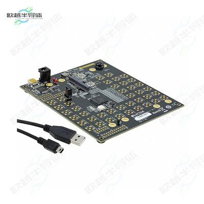 LCMXO3L-DSI-EVN[开发板BOARD EVAL FOR MACHXO3L】
