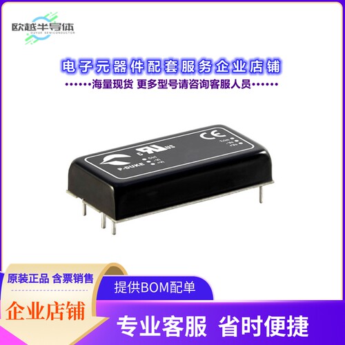 RED60-24S48W[电源模块DC DC CONVERTER 48V 60W]