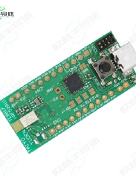 ES2811AA2-EVB[开发板EVALUATION BOARD FOR ES2811AA2 O】