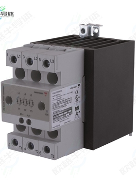 RGC2P60AA40C1[继电器2-POLE DIN-RAIL MOUNT SCR, PROPO]