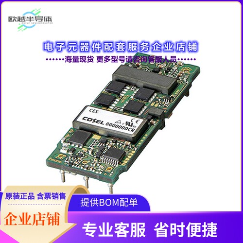 CES48060-17[电源模块DC DC CONVERTER 6V]
