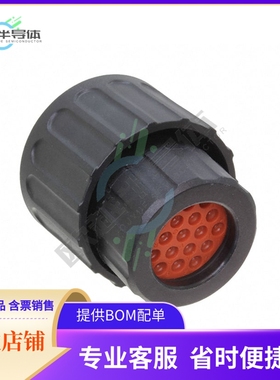 RTS6BS14N19SHEC03【CONN PLG HSG FMALE 19POS INLINE】