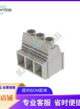 2014290000【LUP 10.16/03/90 5.0SN GY BX】