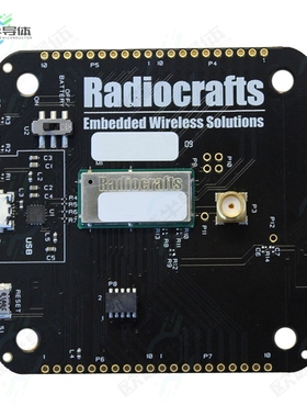RC1880CEF-GPR-DB[开发板RIIOT GATEWAY BOARD】