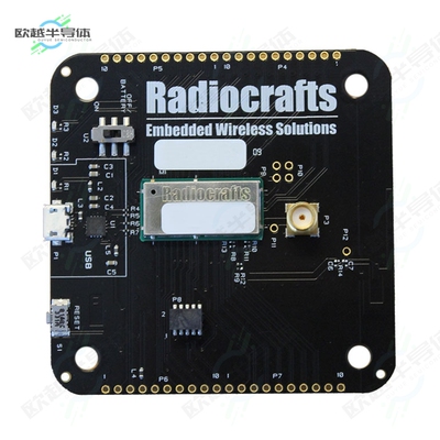 RC1880CEF-GPR-DB[开发板RIIOT GATEWAY BOARD】
