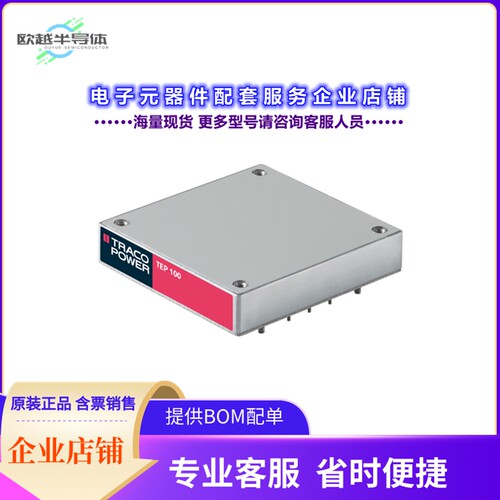 TEP 100-4818[电源模块DC DC CONVERTER 48V 101W]