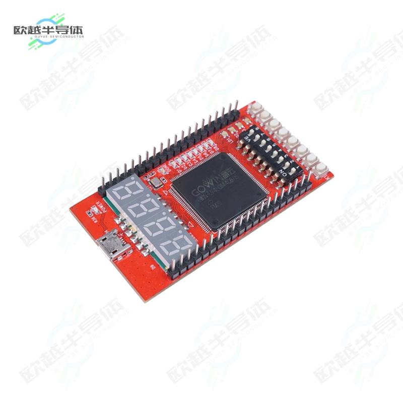 114992325[开发板GOWIN RUNBER FPGA DEV BOARD】