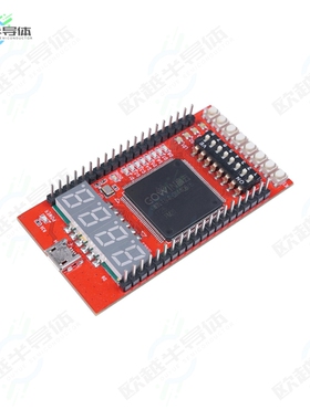 114992325[开发板GOWIN RUNBER FPGA DEV BOARD】
