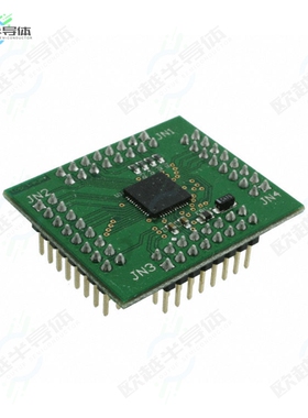 V2-EVAL-EXT48[开发板MOD V2-EVAL DAUGHTER CARD 48-PIN】