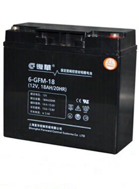 保护神蓄电池6-GFM-18 12V18AH/20HR电池直流屏 UPS EPS配套