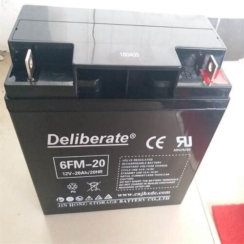 金虹Deliberate蓄电池6FM-22 12V22AH消防照明 UPS电源配套 储能